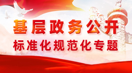 基層政務(wù)公開標(biāo)準(zhǔn)化規(guī)范化專題